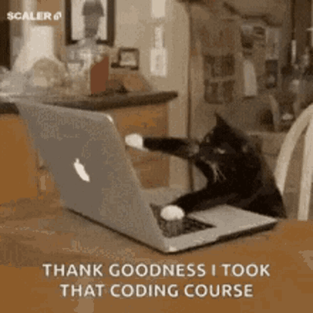 Me coding